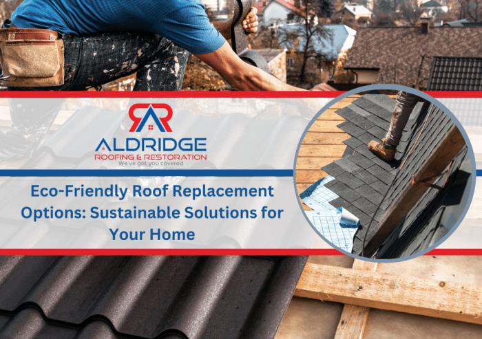 Eco roofing companies usa