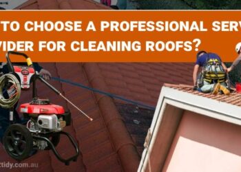 Professional service provider for cleaning roofs? - Dirt2Tidy