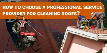 Professional service provider for cleaning roofs? - Dirt2Tidy