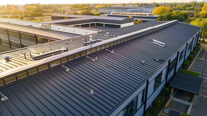 Exploring Common Commercial Roofing Systems
