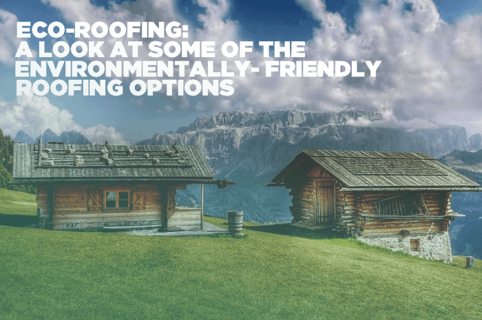 Eco roofing companies usa