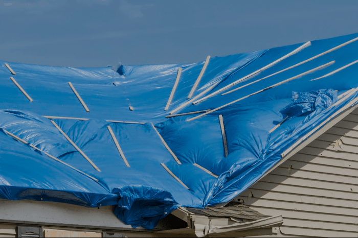 Emergency Tarp Services - Beaver Home Services - Orange Park, FL